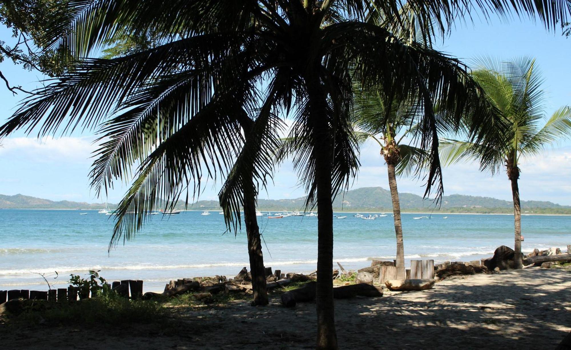 The Coast Beachfront Hotel تاماريندو المظهر الخارجي الصورة